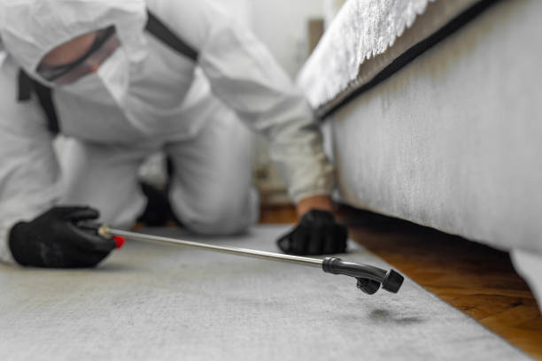 Professional Termite Control technician working in Malden, MO