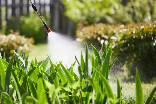 24/7 Emergency Termite Control experts in Malden, MO